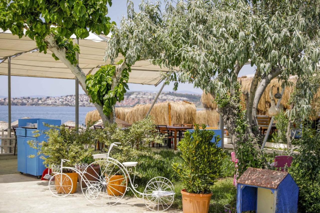 Teos Ormanci Tatil Koyu Ξενοδοχείο Seferihisar Εξωτερικό φωτογραφία