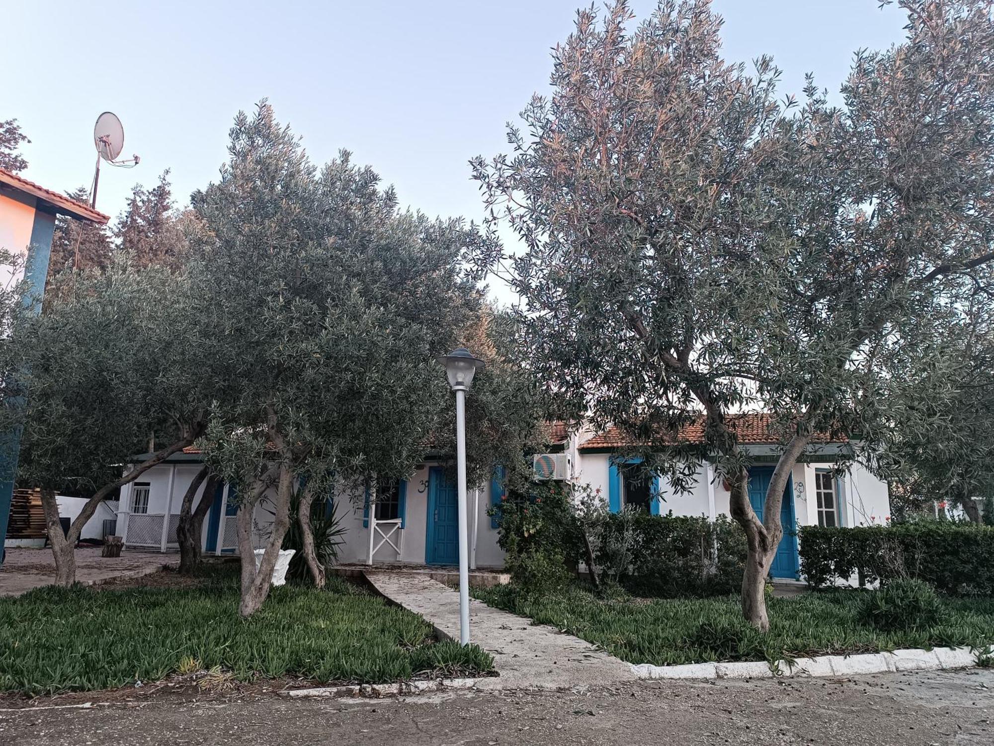 Teos Ormanci Tatil Koyu Ξενοδοχείο Seferihisar Εξωτερικό φωτογραφία
