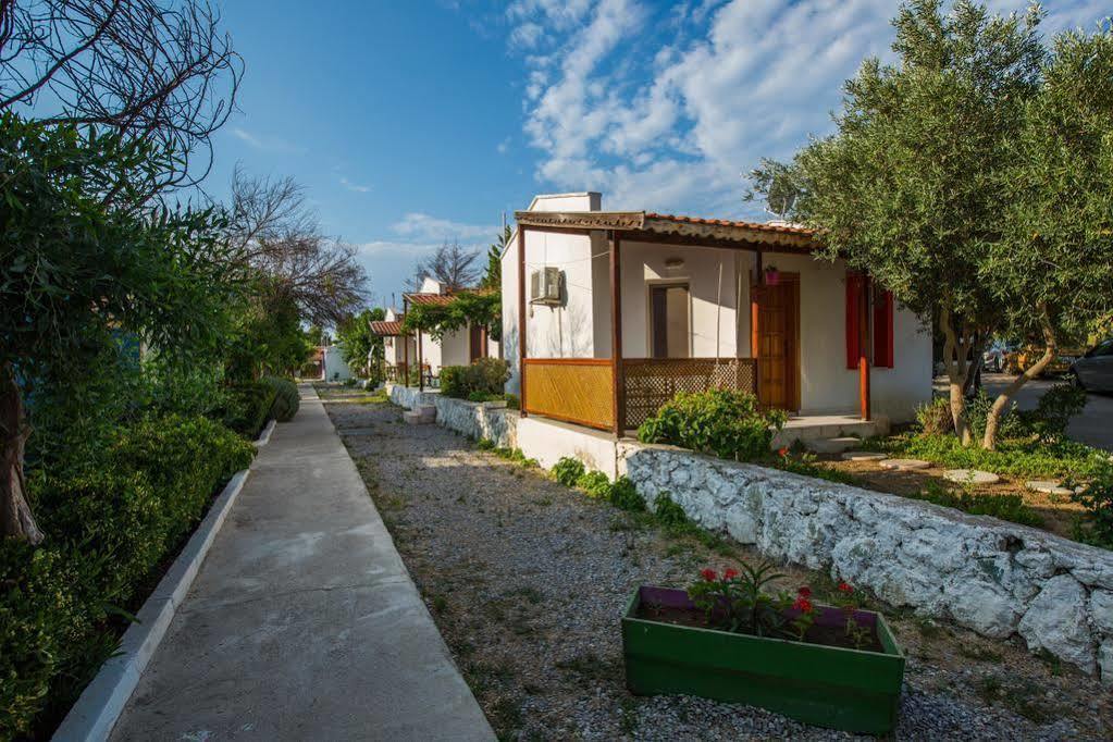 Teos Ormanci Tatil Koyu Ξενοδοχείο Seferihisar Εξωτερικό φωτογραφία