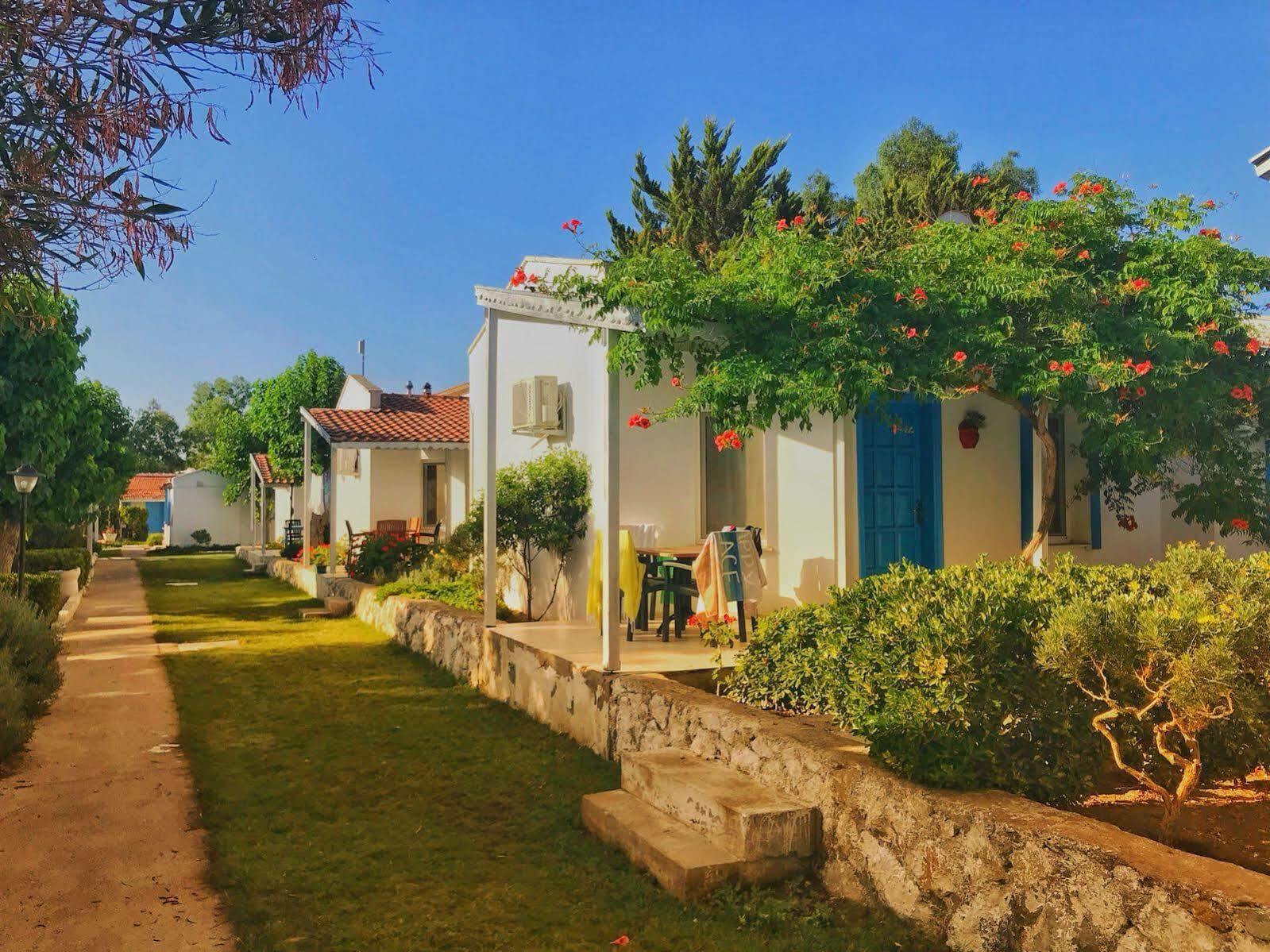 Teos Ormanci Tatil Koyu Ξενοδοχείο Seferihisar Εξωτερικό φωτογραφία
