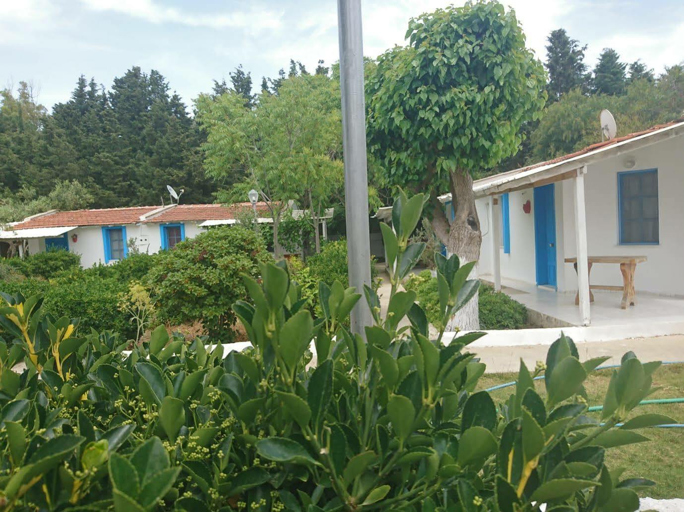 Teos Ormanci Tatil Koyu Ξενοδοχείο Seferihisar Εξωτερικό φωτογραφία