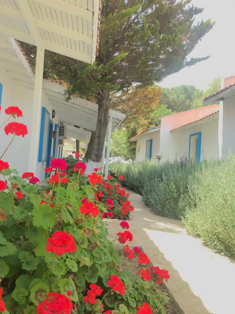 Teos Ormanci Tatil Koyu Ξενοδοχείο Seferihisar Εξωτερικό φωτογραφία