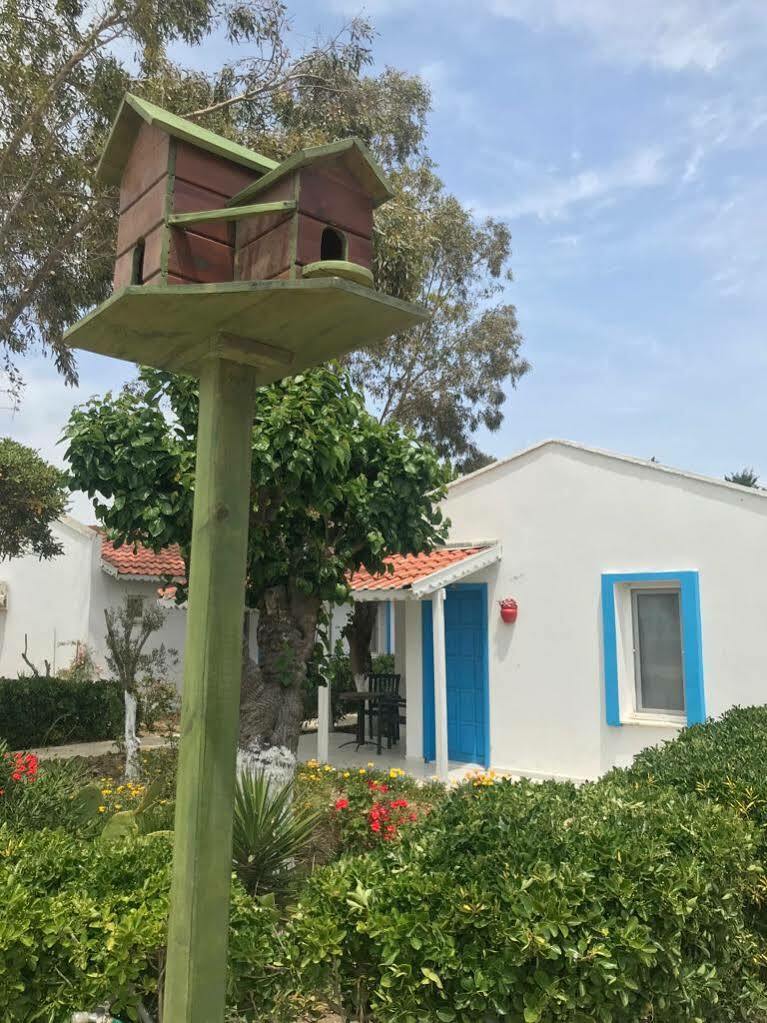 Teos Ormanci Tatil Koyu Ξενοδοχείο Seferihisar Εξωτερικό φωτογραφία